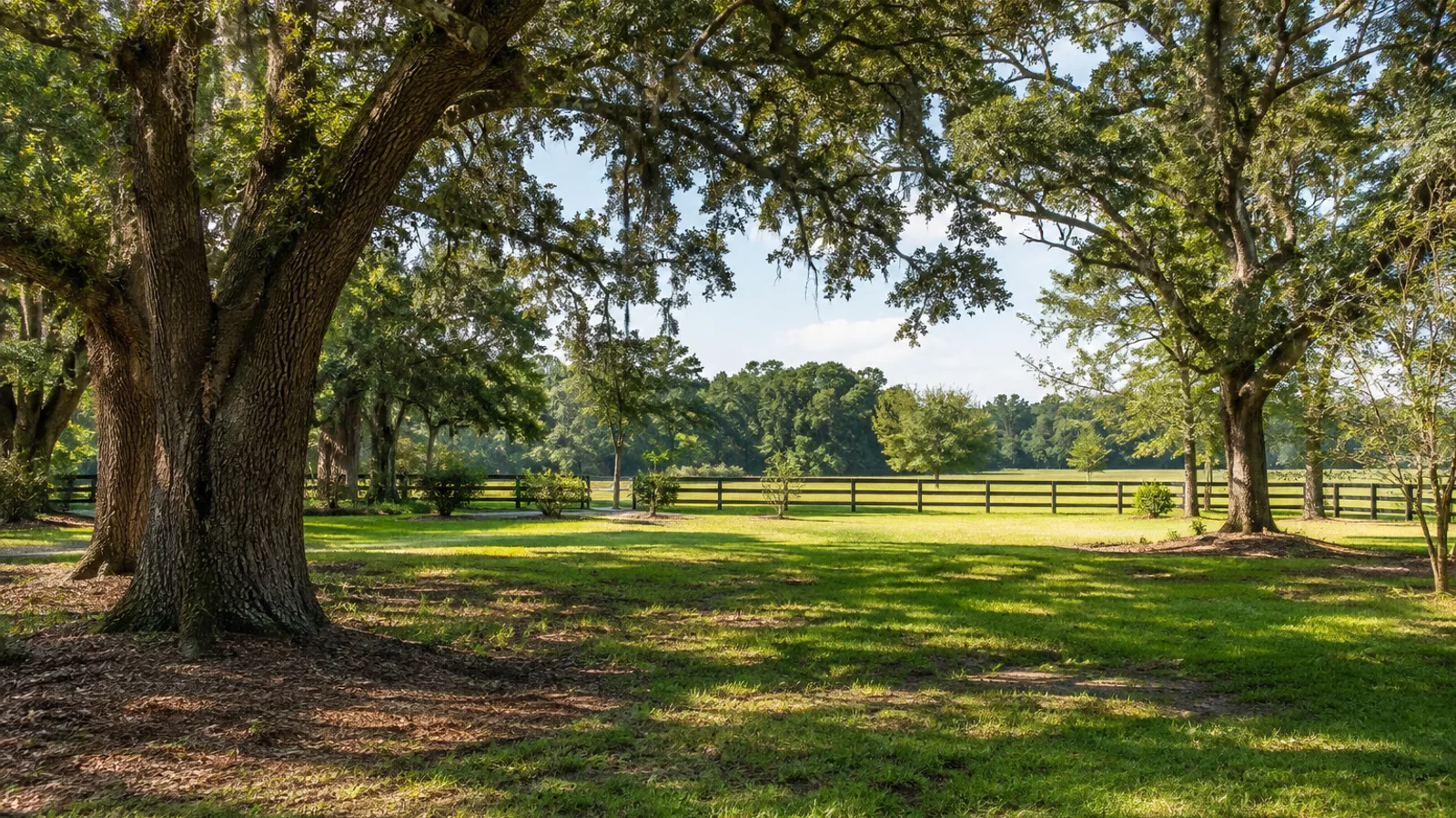 How to Sell Inherited Land in South Carolina