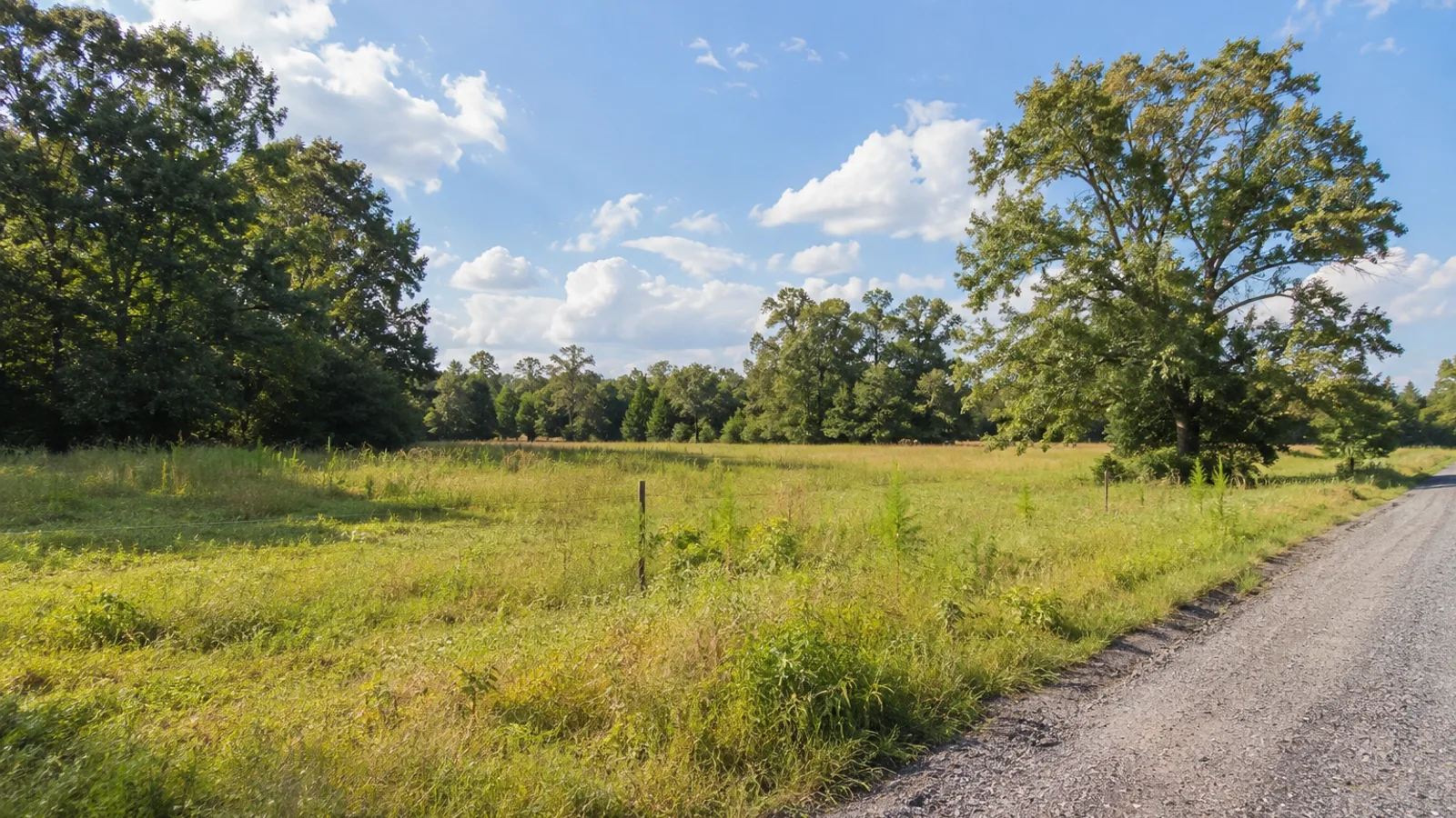 How to Sell Land Fast in South Carolina