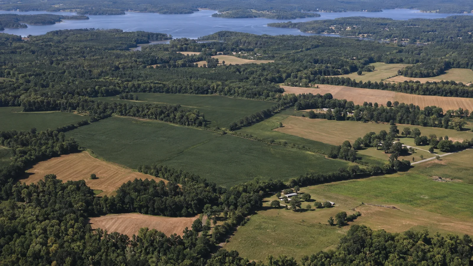 How to Sell Land Online in South Carolina