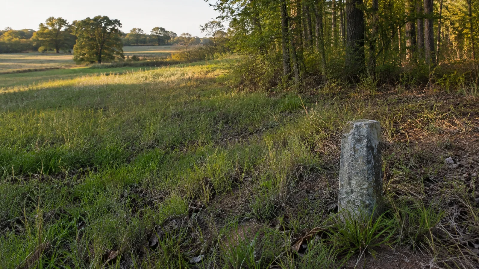 Legal Documents for Selling Land in South Carolina