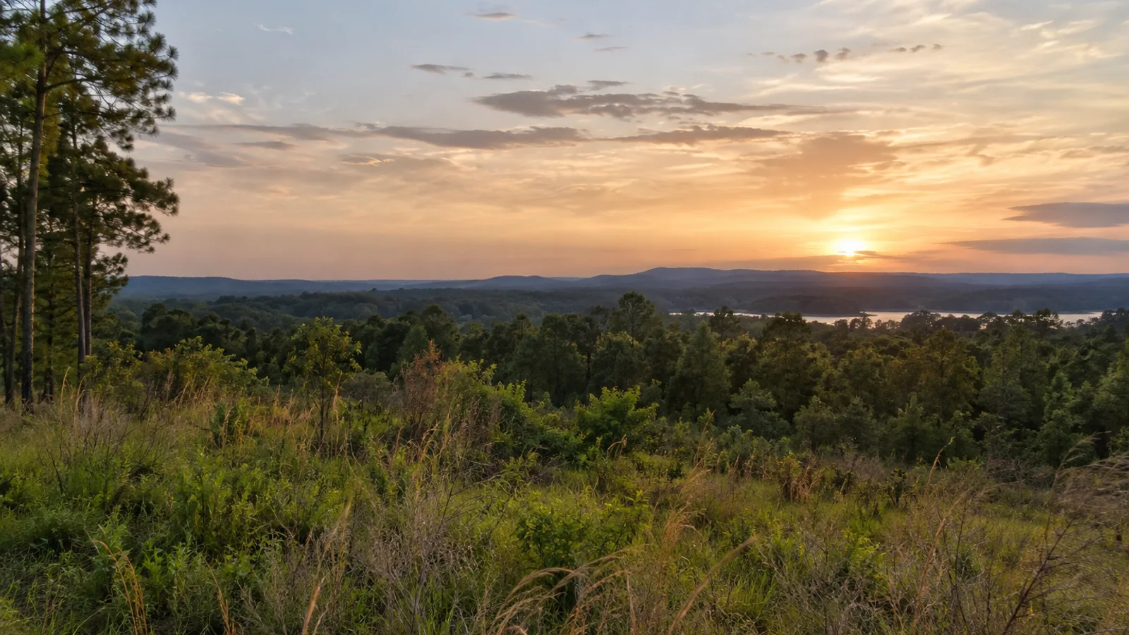 Selling Land to a Developer in South Carolina