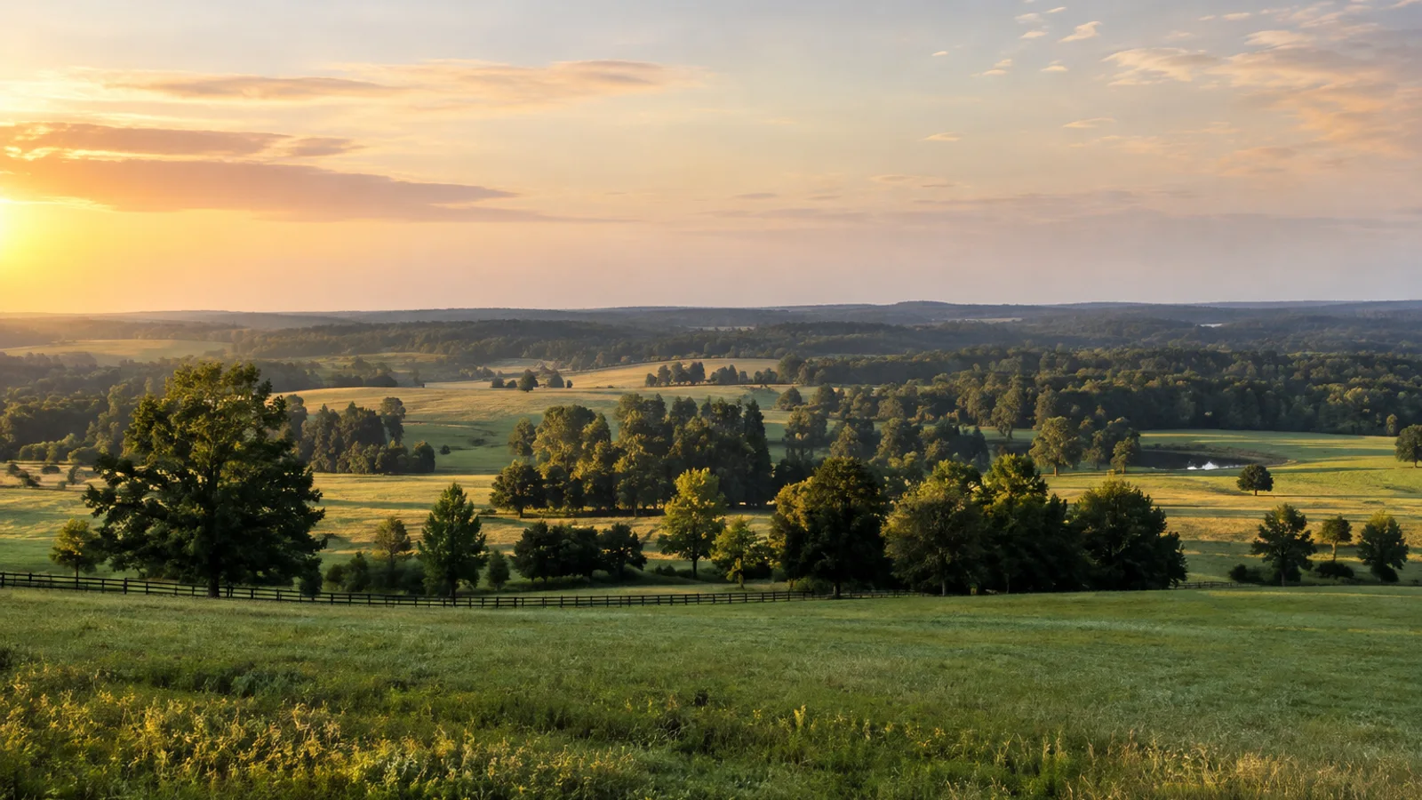South Carolina Land Buyers: How to Sell Land Fast for Cash