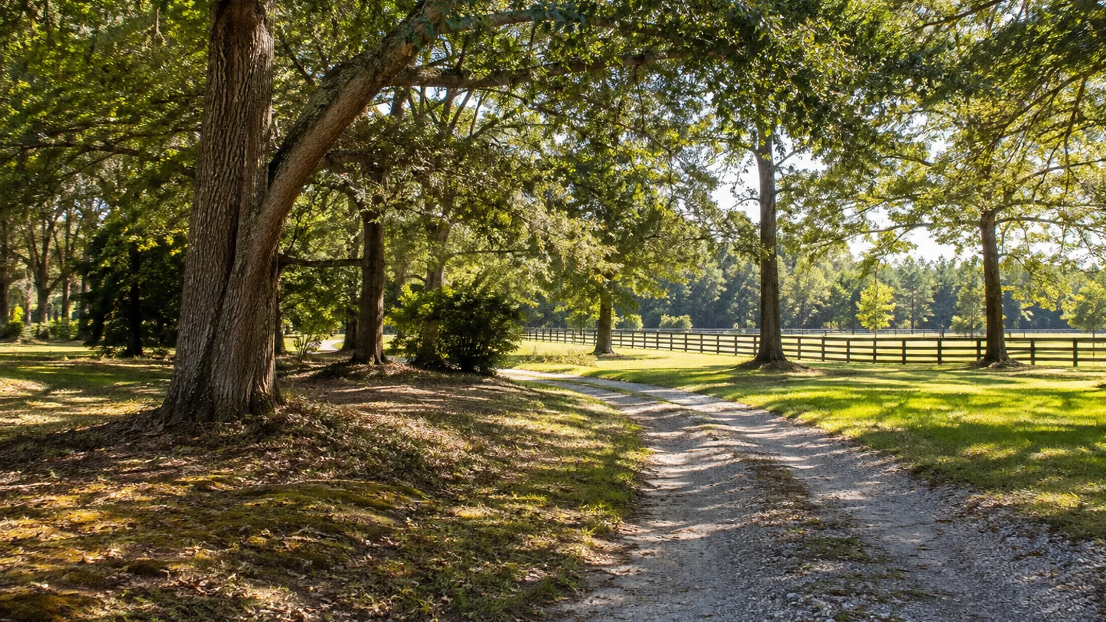 How to Sell Inherited Land in South Carolina: South Carolina land and parcel context