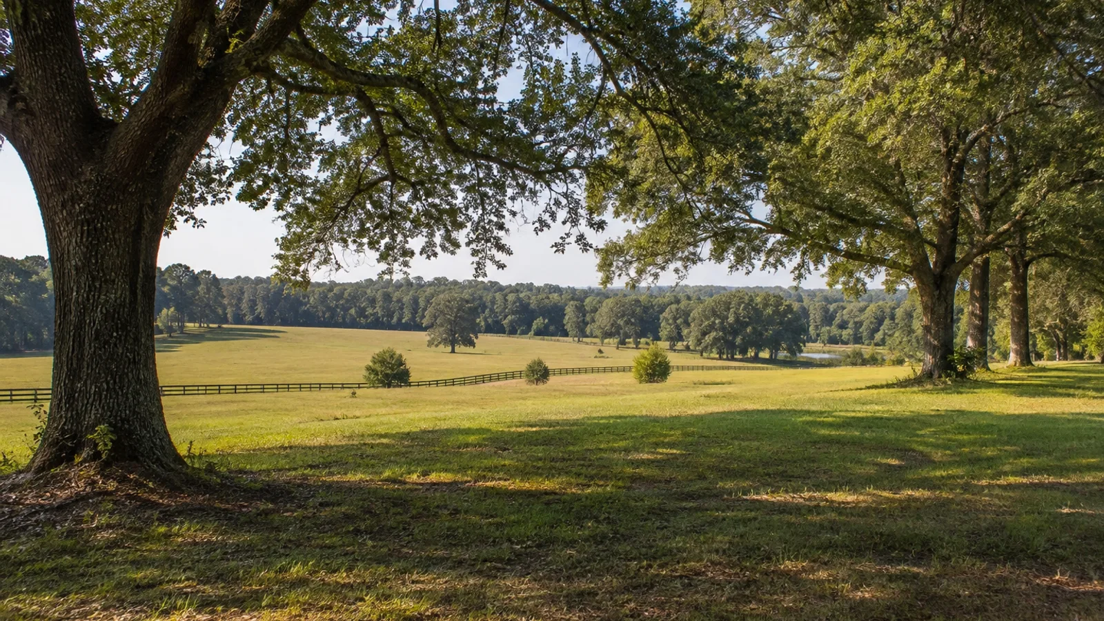 How to Sell Inherited Land in South Carolina: South Carolina land and parcel context