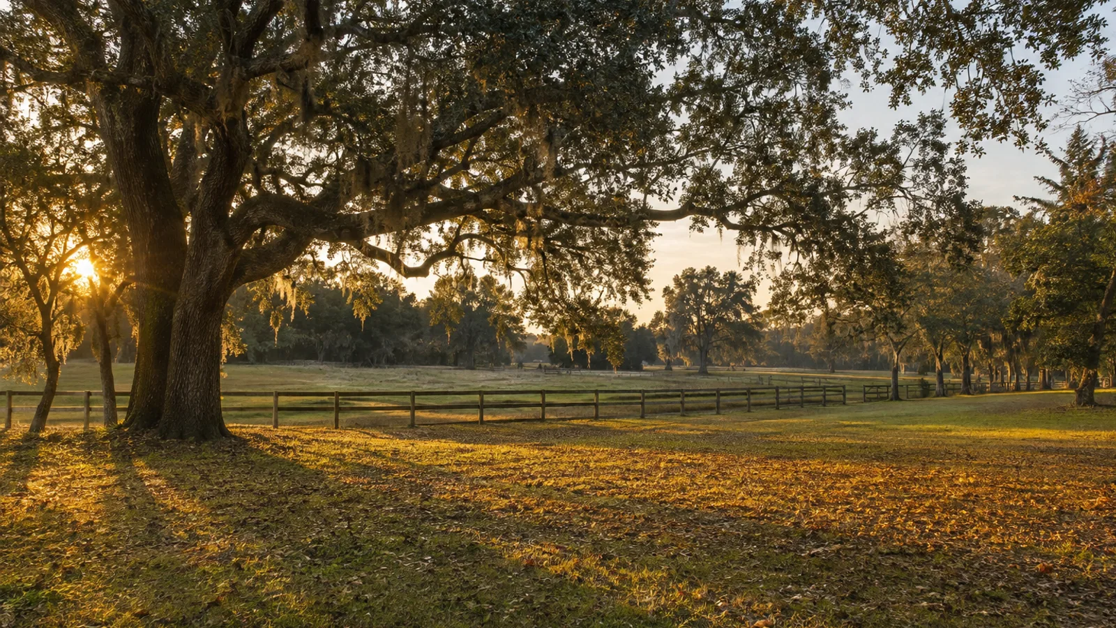 How to Sell Inherited Land in South Carolina: South Carolina land and parcel context