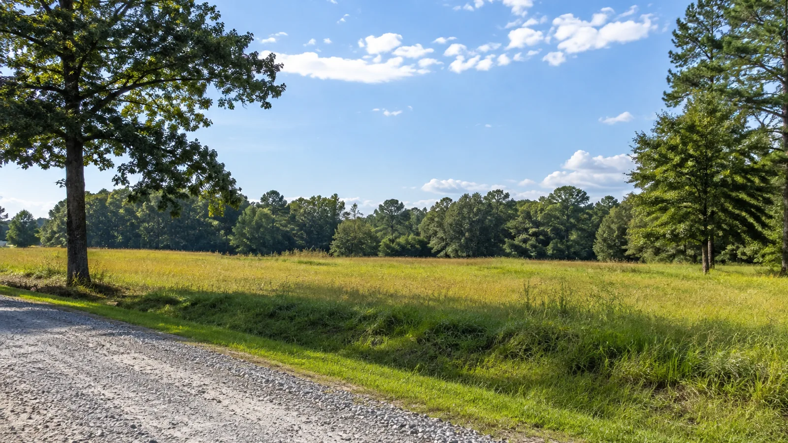 How to Sell Land Fast in South Carolina: South Carolina land and parcel context