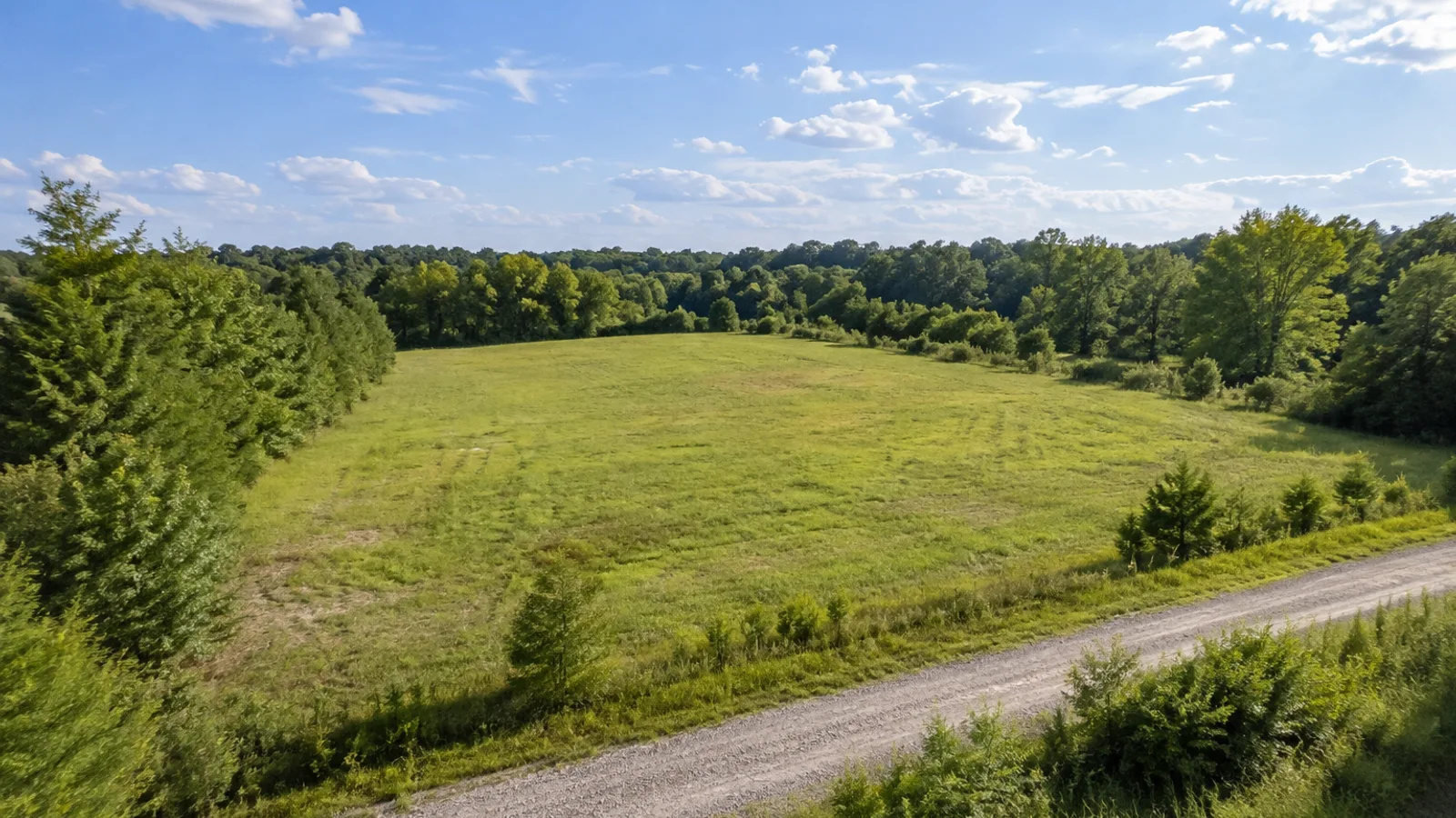 How to Sell Land Fast in South Carolina: South Carolina land and parcel context