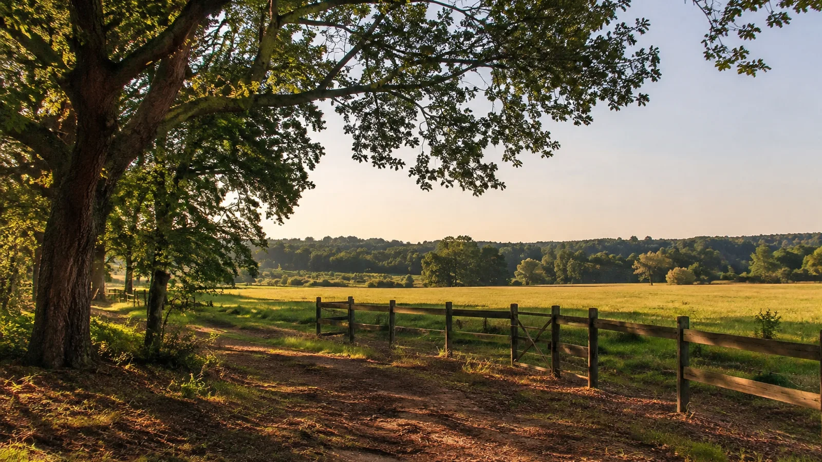 How to Sell Land Online in South Carolina: South Carolina land and parcel context