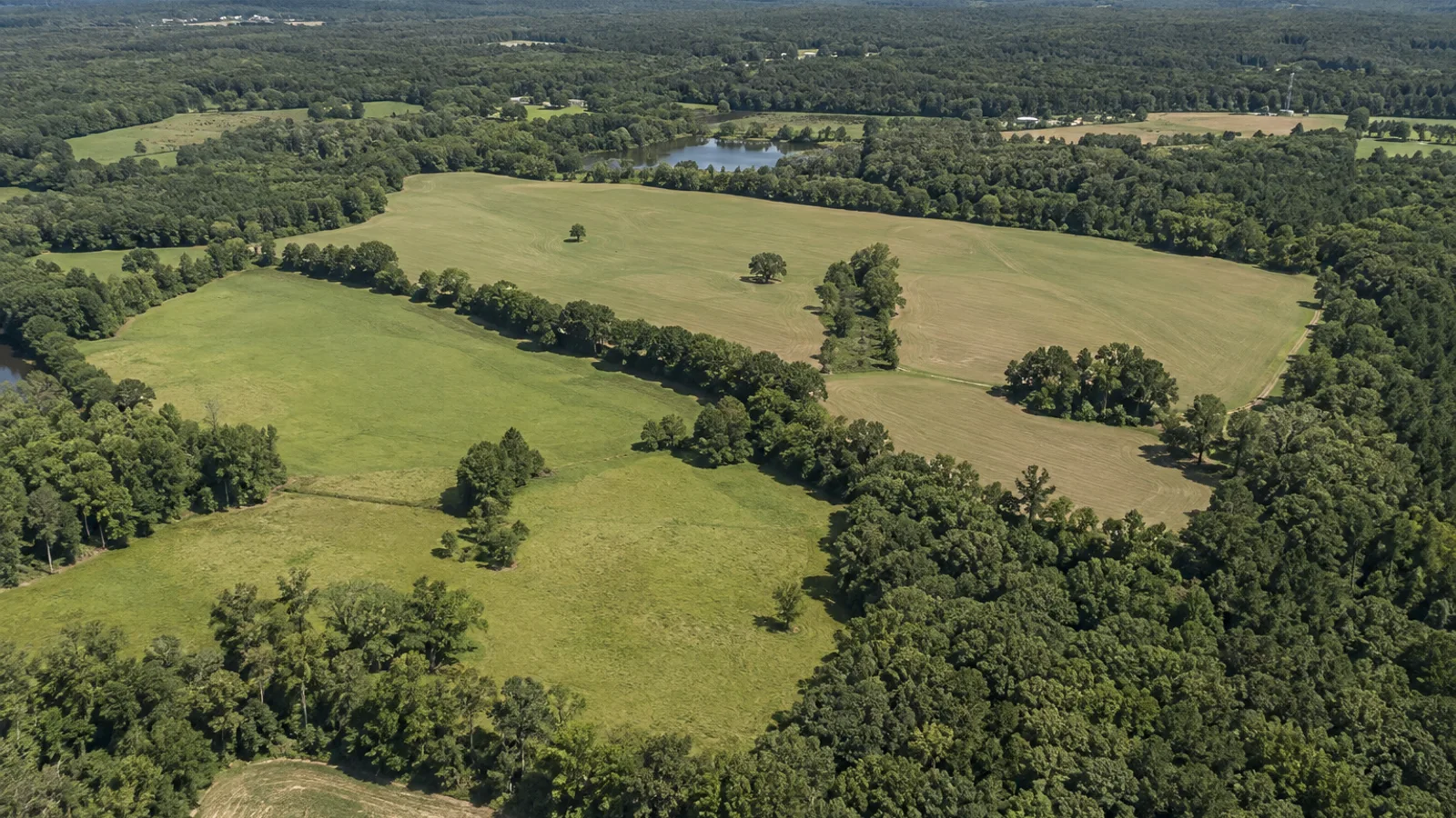 How to Sell Land Online in South Carolina: South Carolina land and parcel context