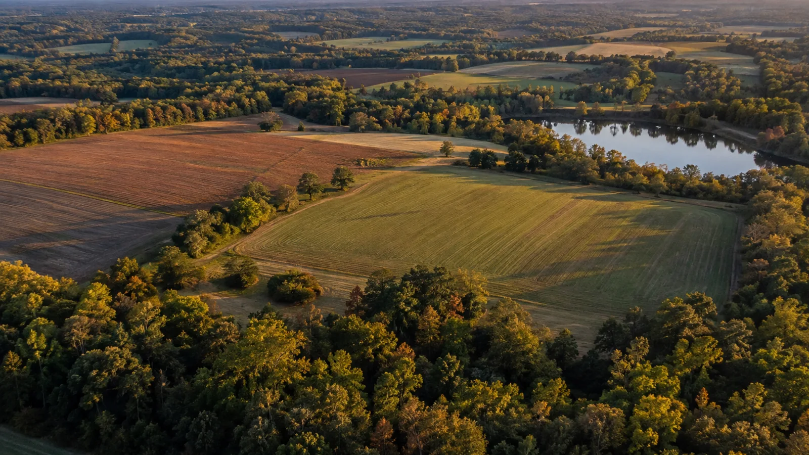 How to Sell Land Online in South Carolina: South Carolina land and parcel context