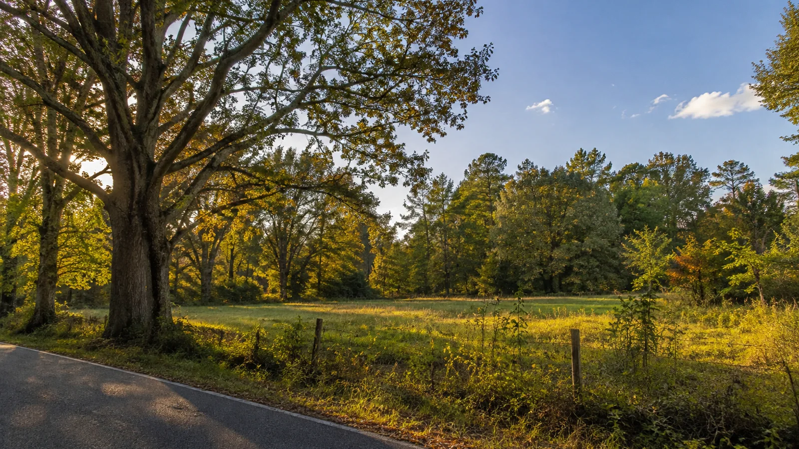 How to Sell Land Without a Realtor in South Carolina: South Carolina land and parcel context