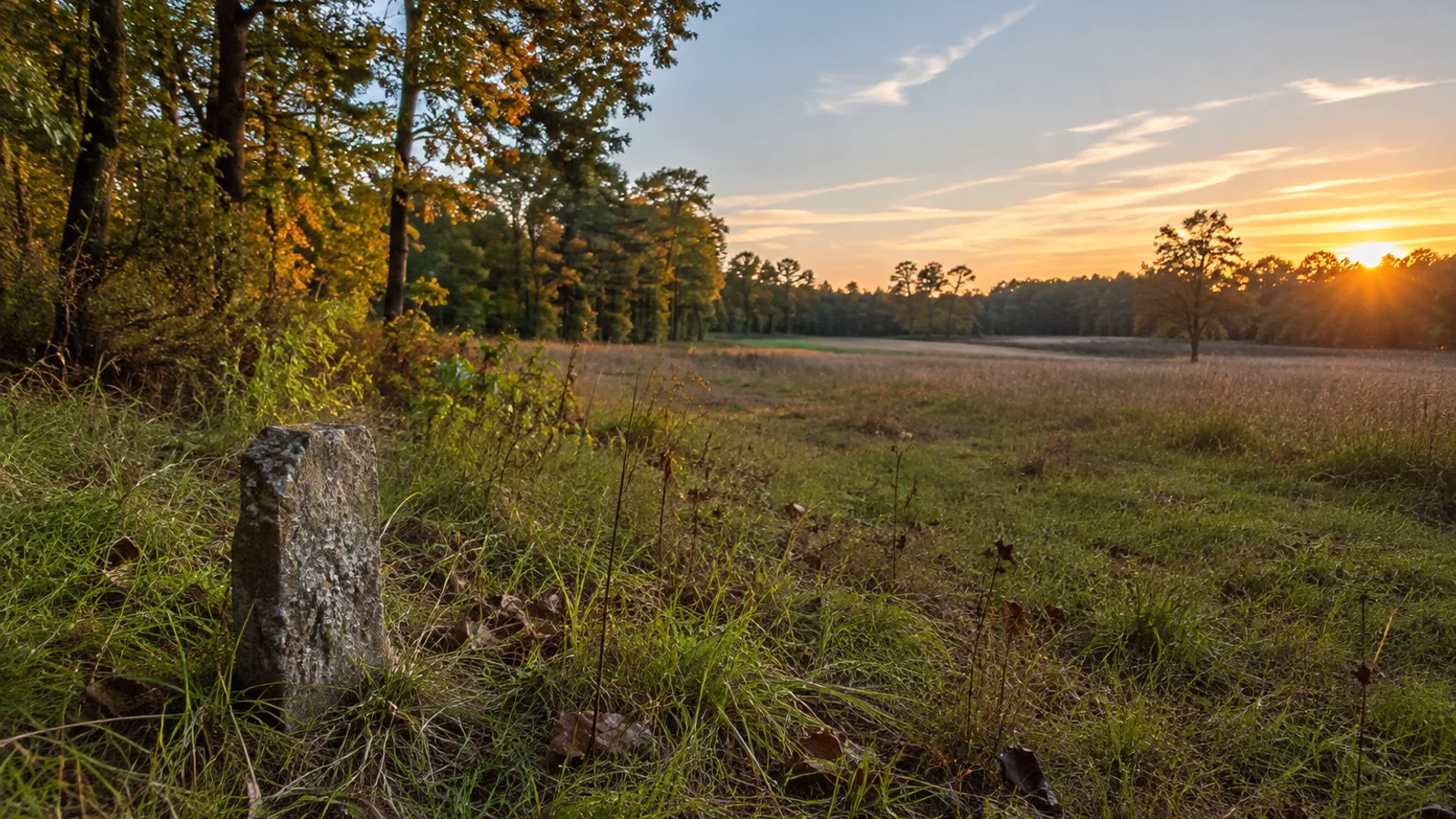 Legal Documents for Selling Land in South Carolina: South Carolina land and parcel context