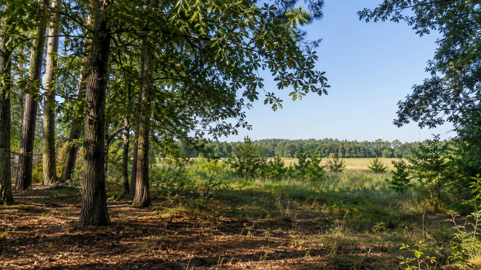 Selling Land to a Developer in South Carolina: South Carolina land and parcel context