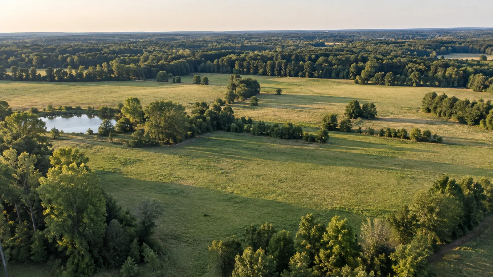 South Carolina Land Buyers: How to Sell Land Fast for Cash: South Carolina land and parcel context