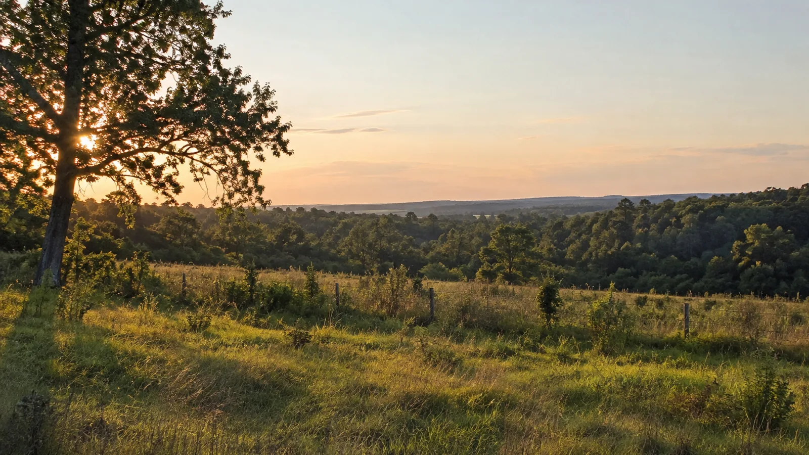 South Carolina Land Buyers: How to Sell Land Fast for Cash: South Carolina land and parcel context