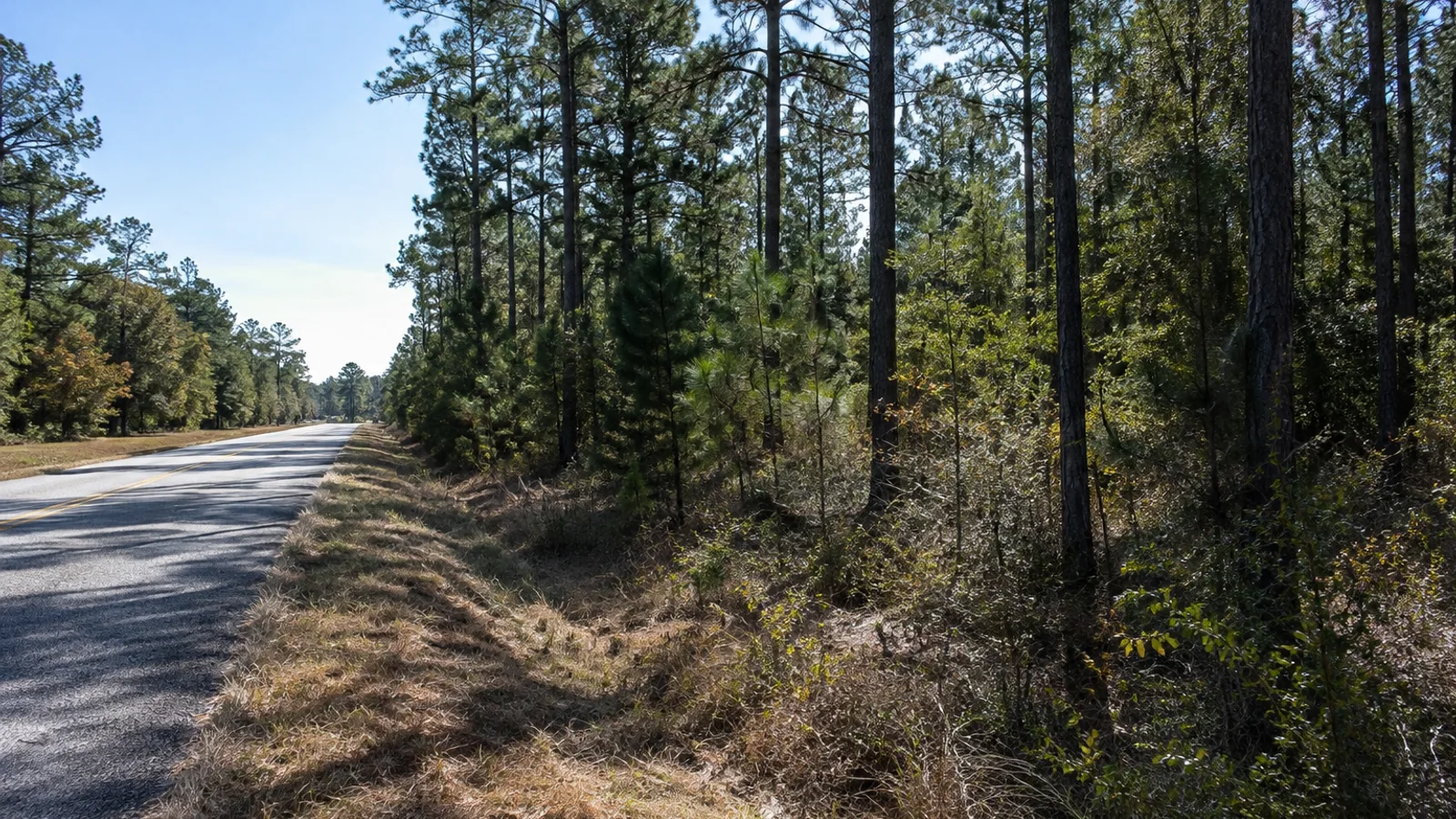 Tax on Selling Land in South Carolina: South Carolina land and parcel context
