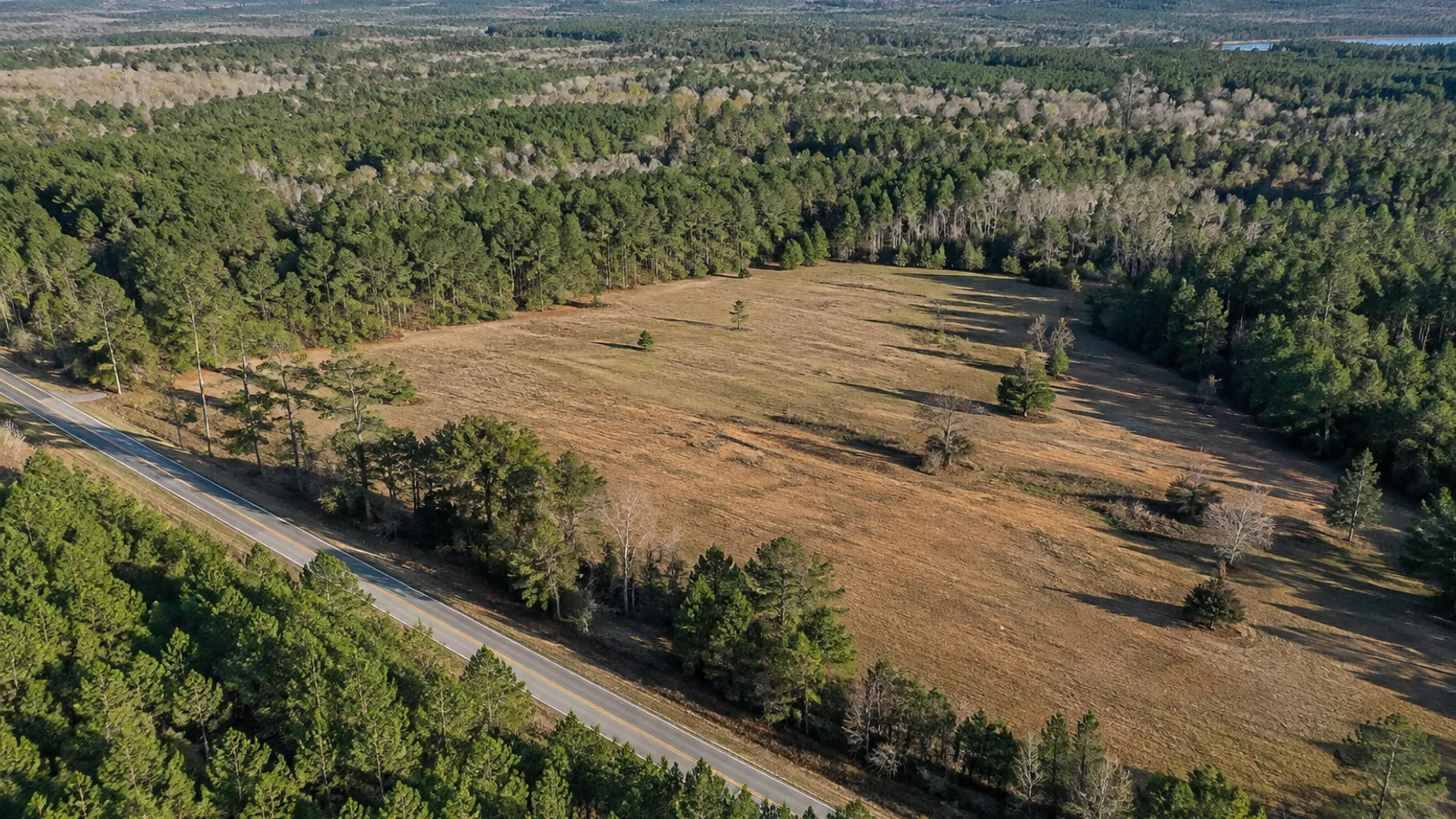 Tax on Selling Land in South Carolina: South Carolina land and parcel context