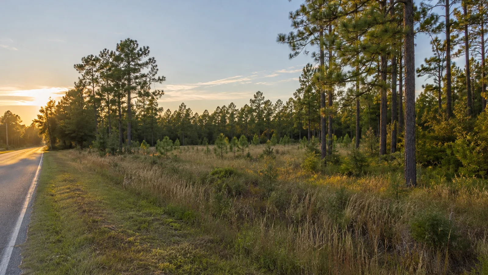 Tax on Selling Land in South Carolina: South Carolina land and parcel context