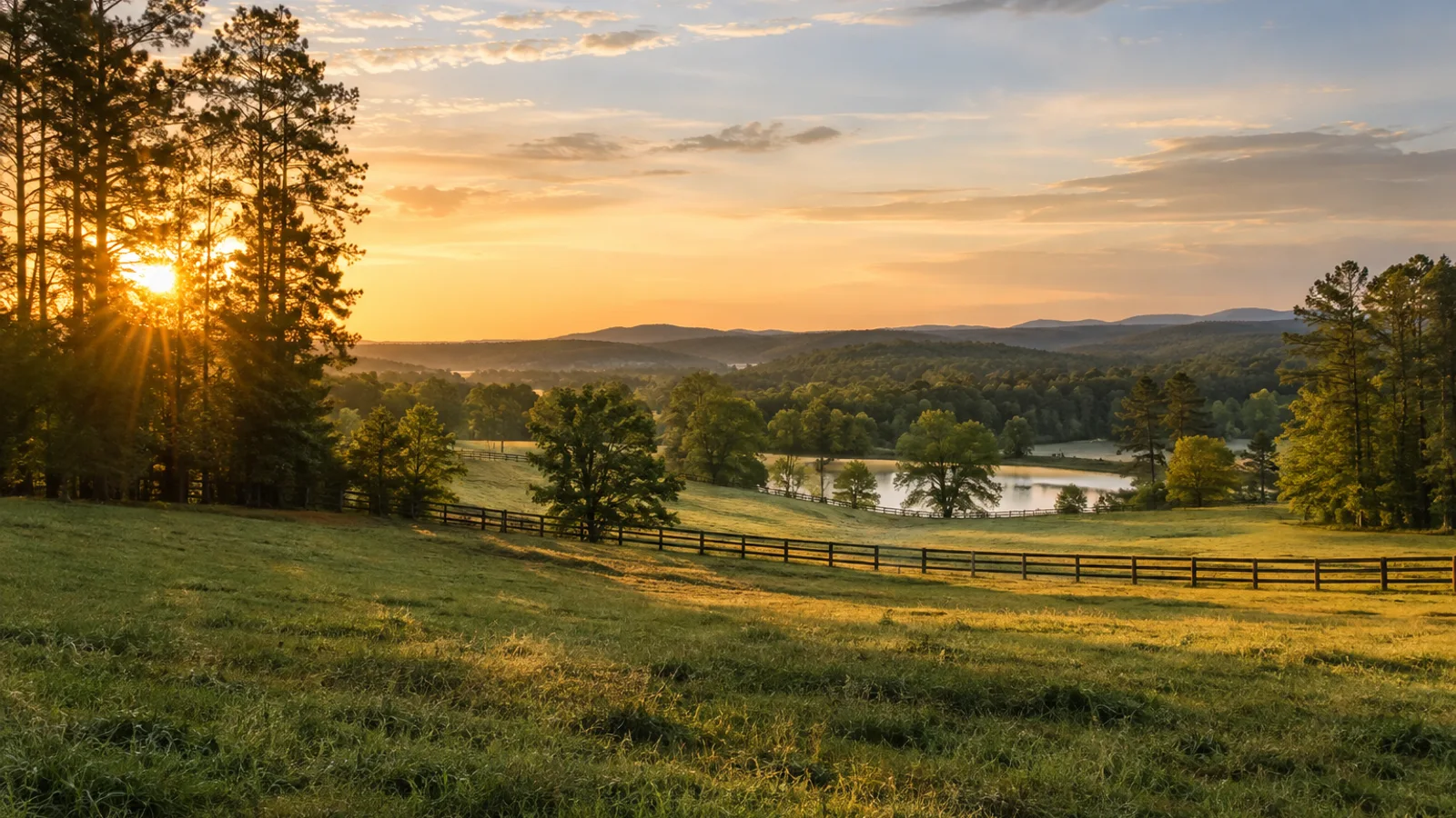 South Carolina pasture and woodland landscape