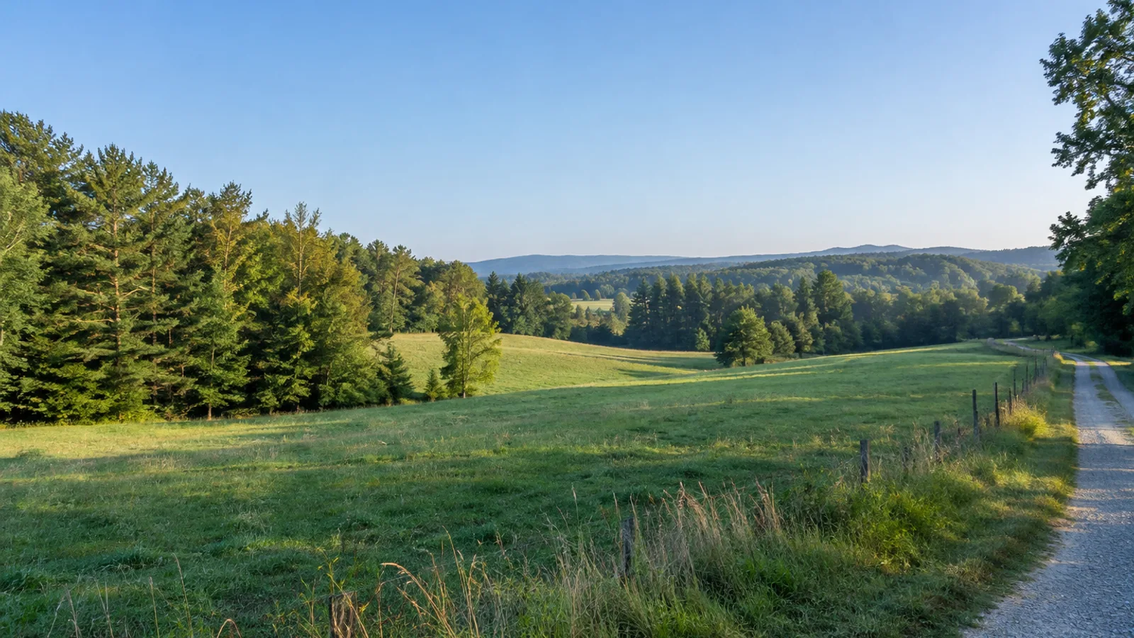 South Carolina pasture and woodland landscape