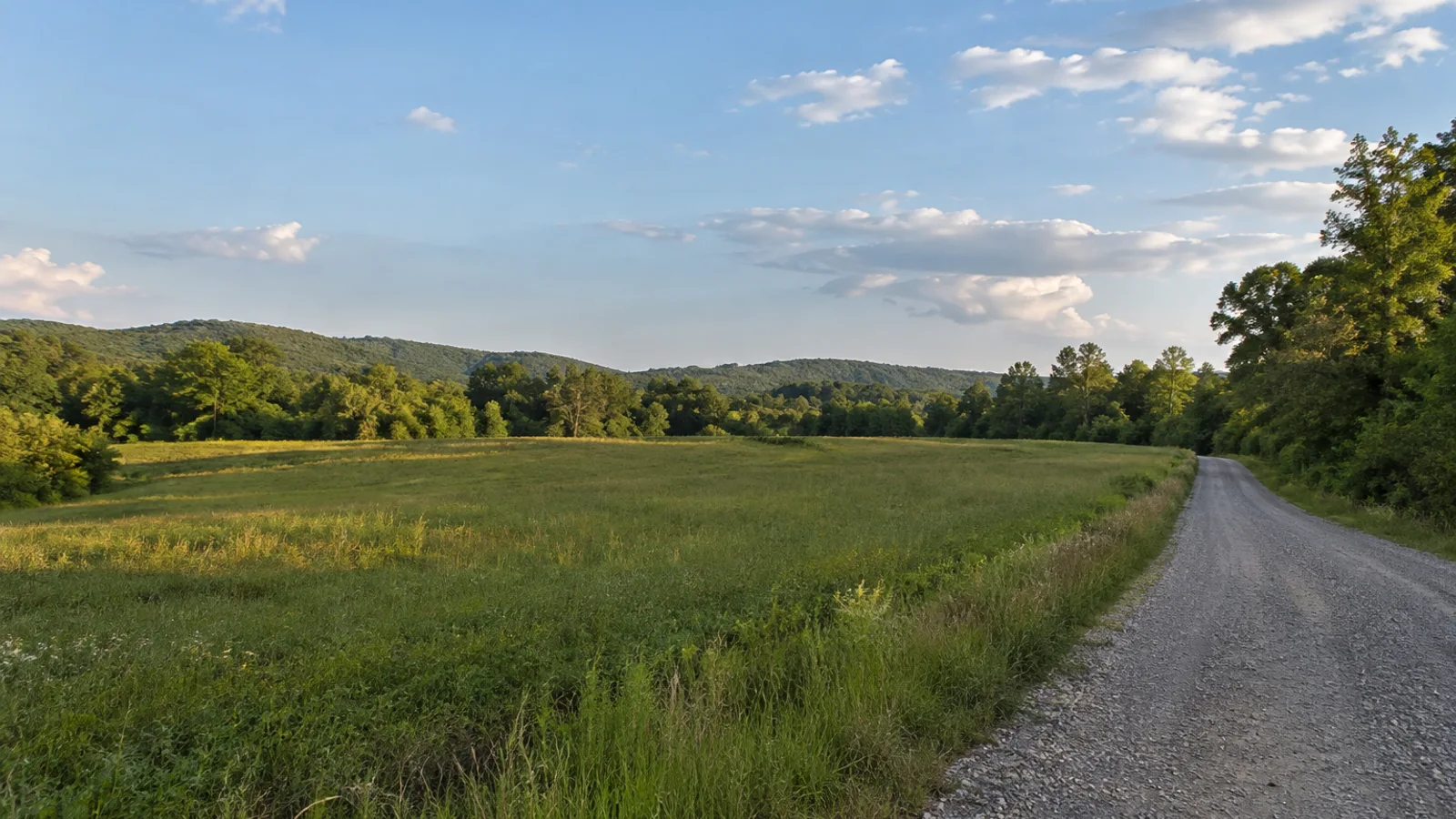 South Carolina pasture and woodland landscape