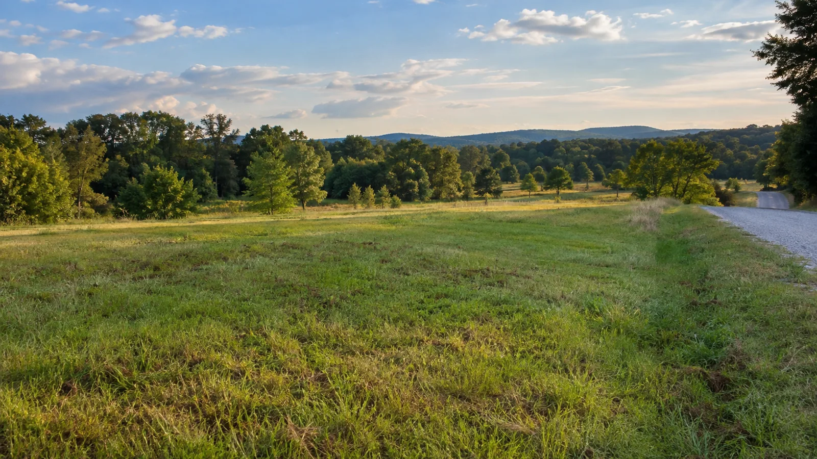 South Carolina pasture and woodland landscape
