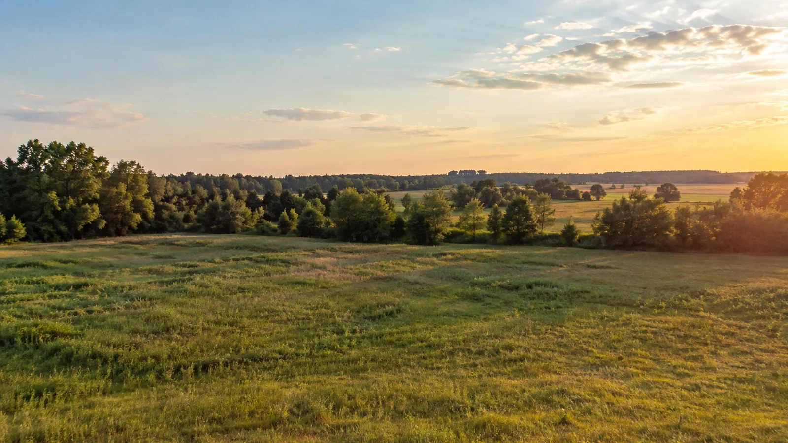 South Carolina pasture and woodland landscape