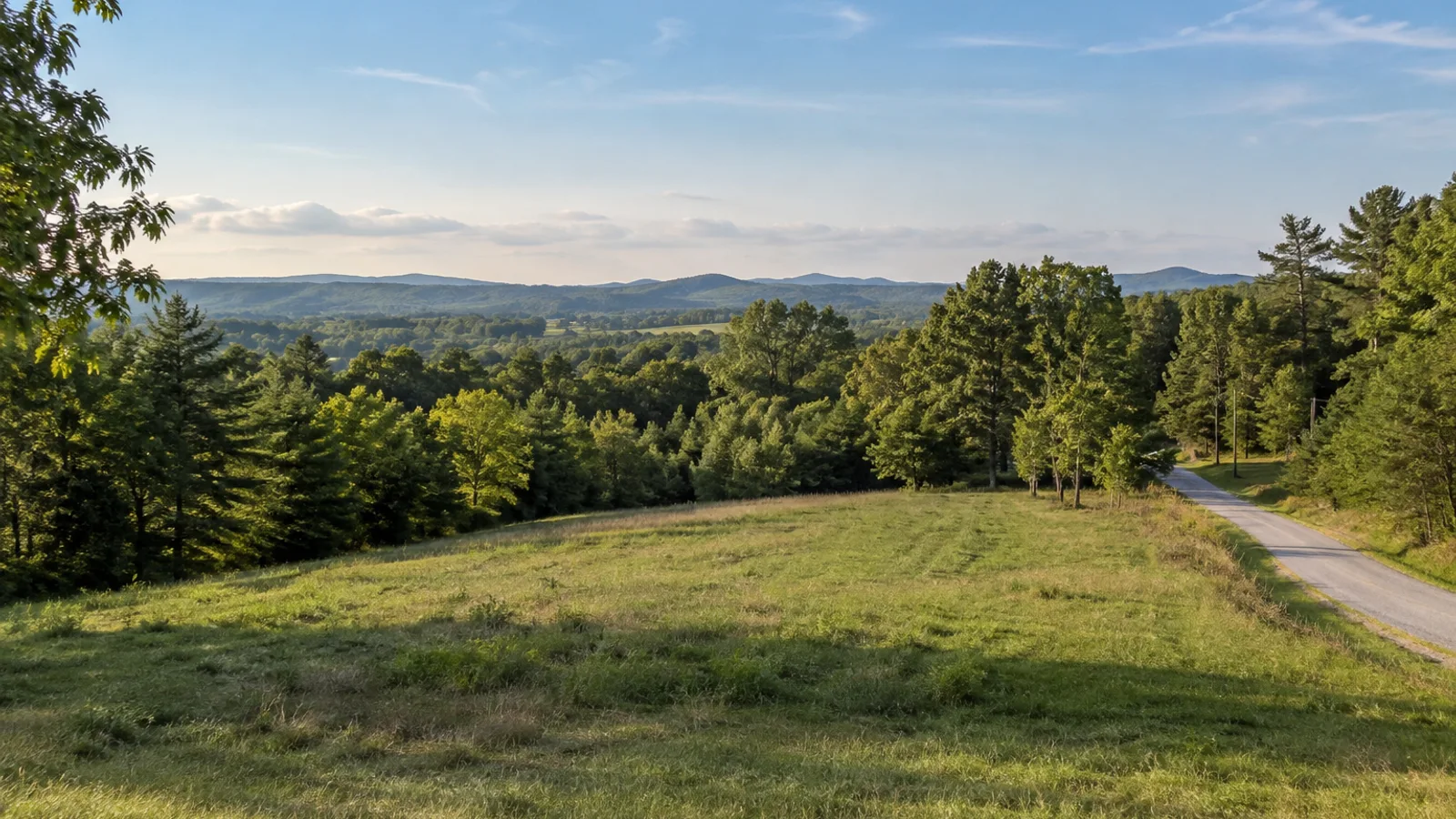 South Carolina pasture and woodland landscape