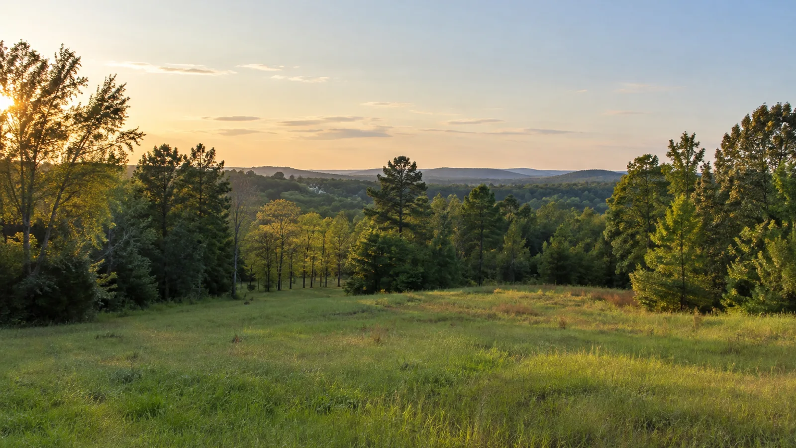 South Carolina pasture and woodland landscape