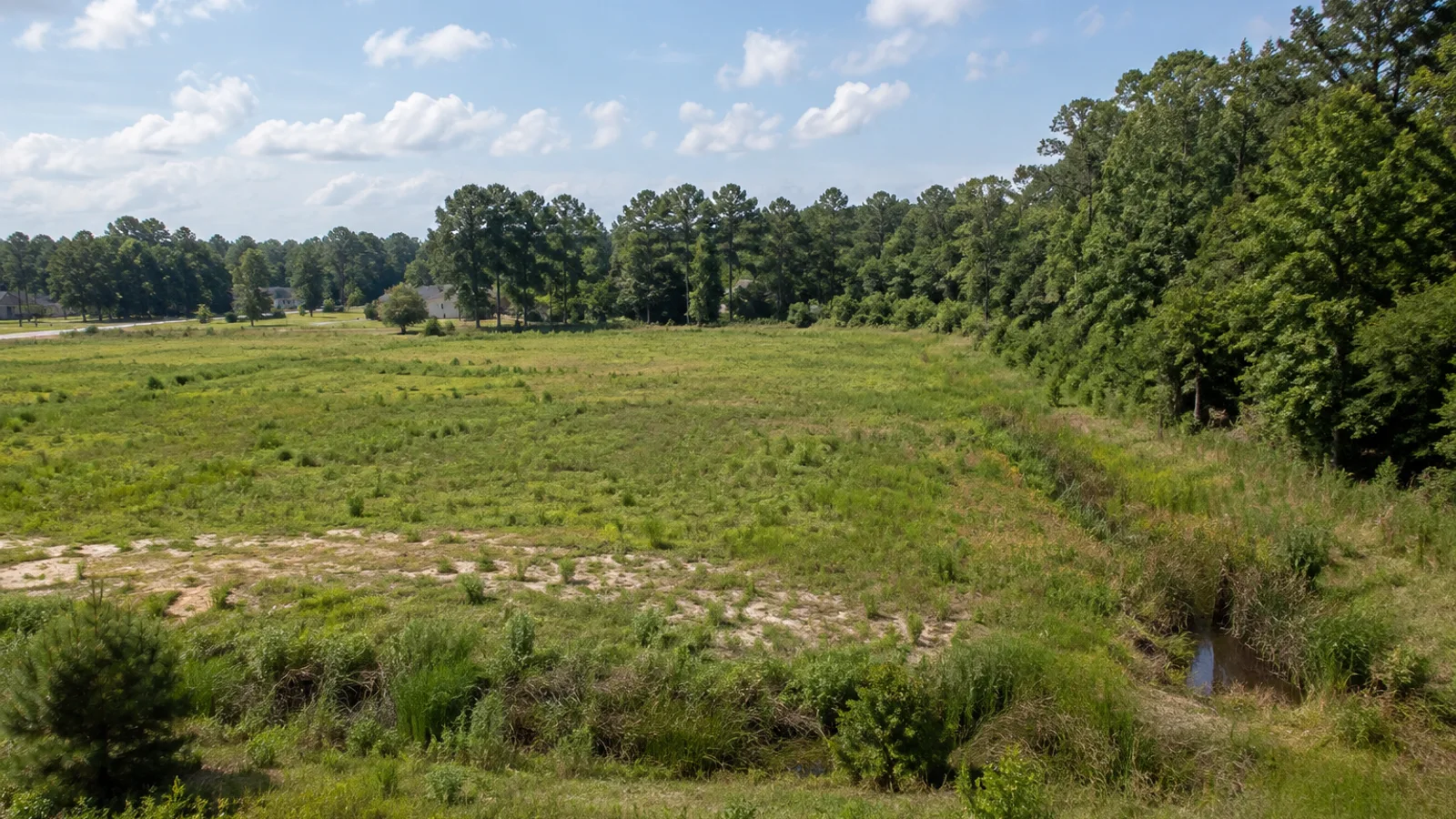 South Carolina pasture and woodland landscape