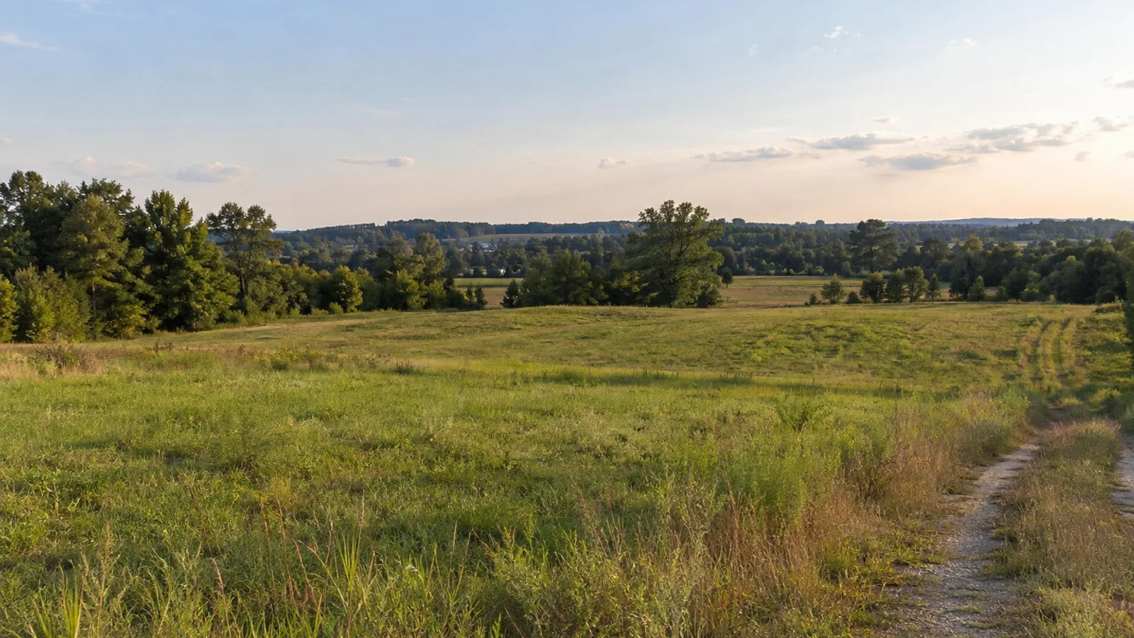 South Carolina pasture and woodland landscape
