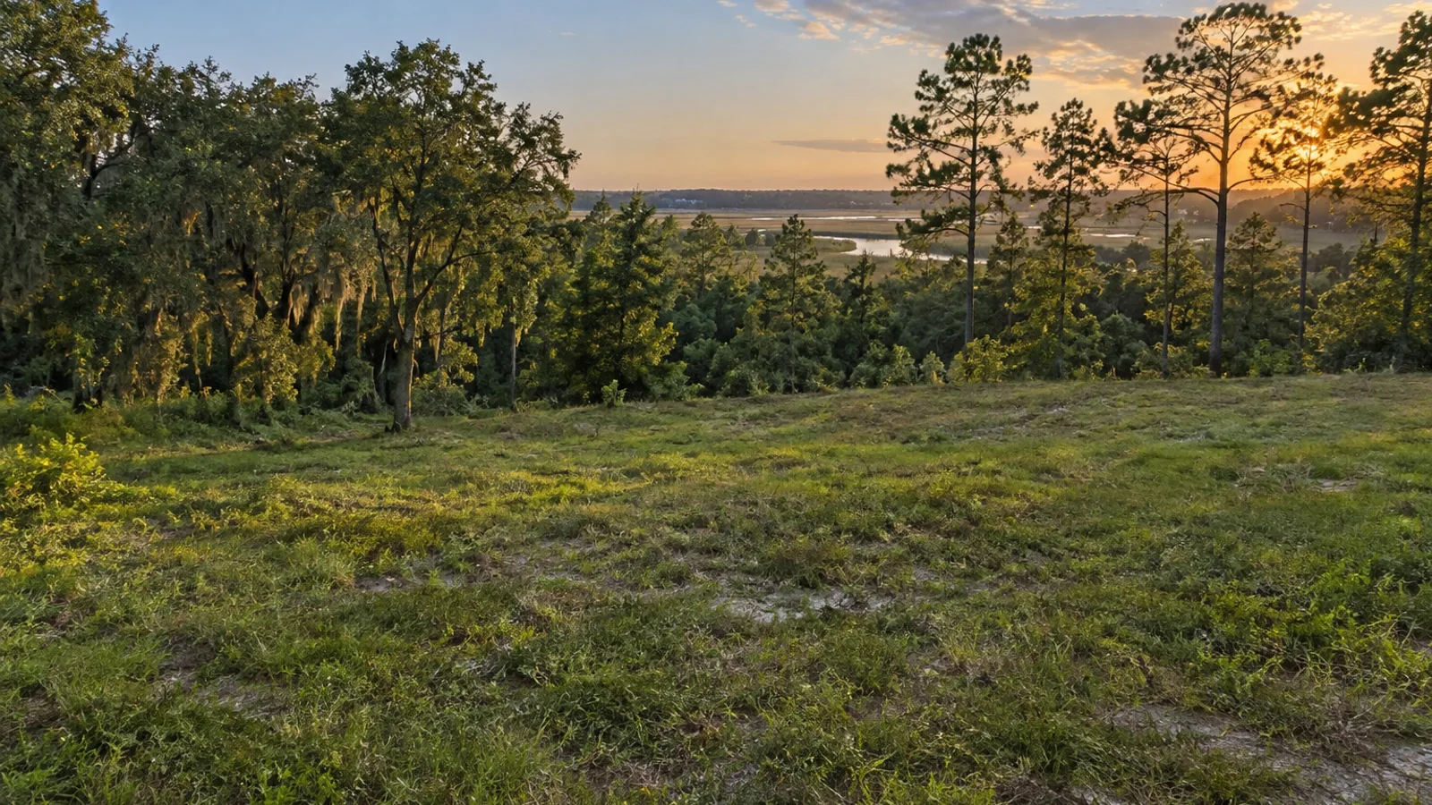 South Carolina pasture and woodland landscape