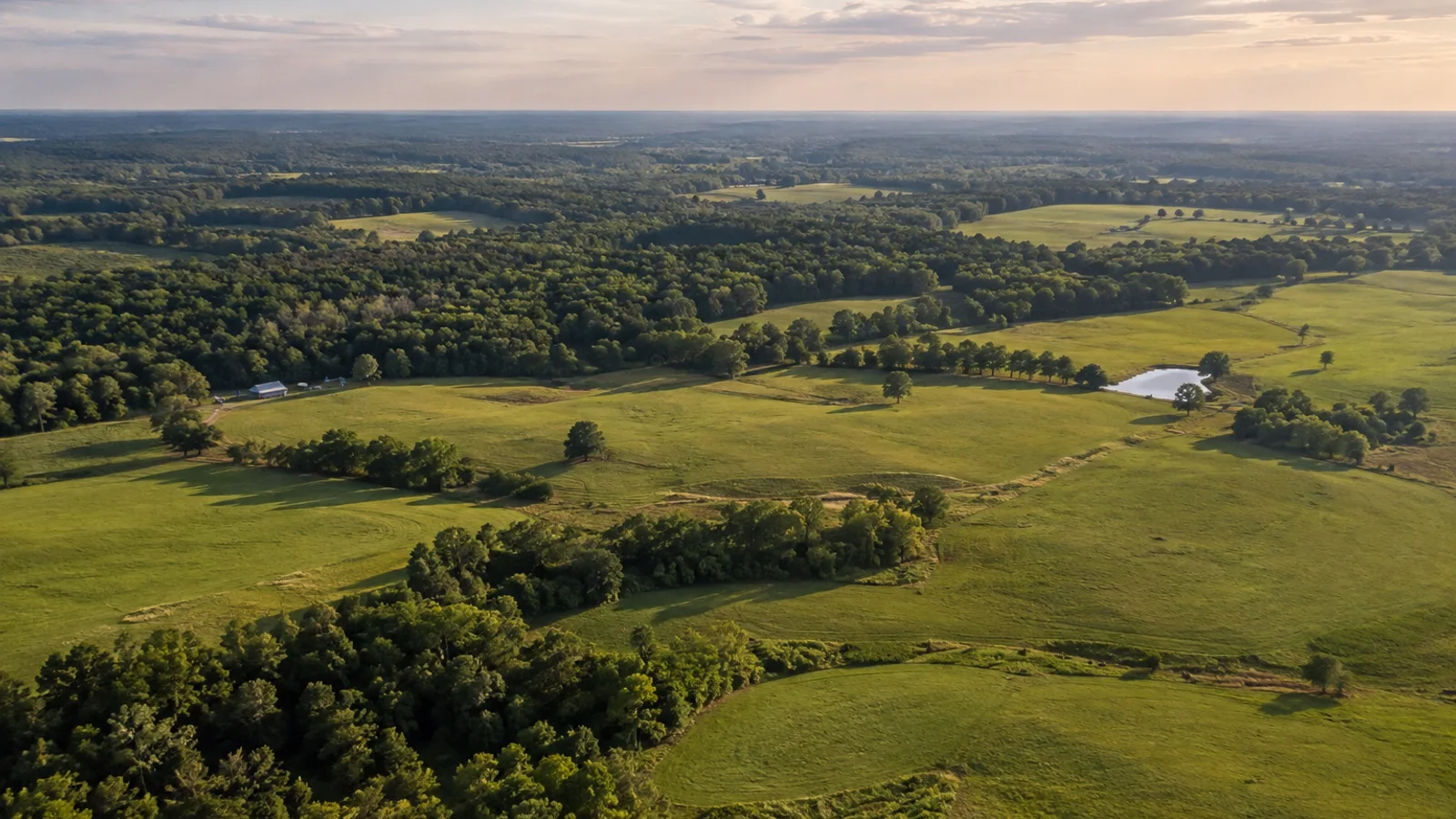 Rural Acreage: open South Carolina pasture