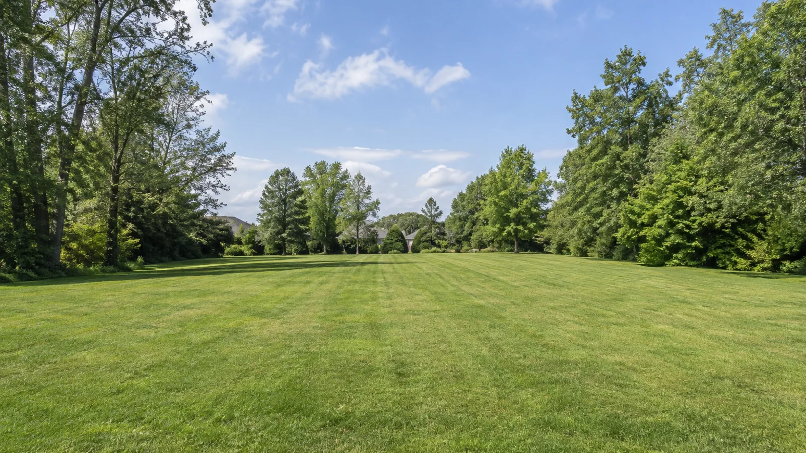 Vacant Lots: cleared residential homesite